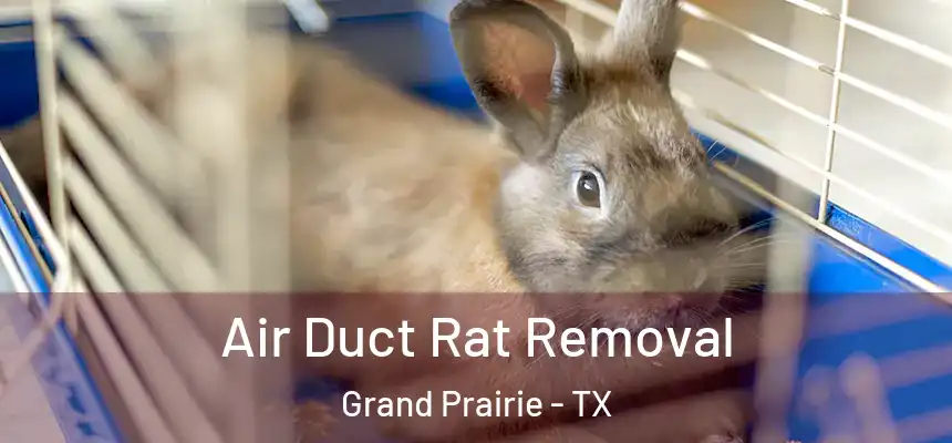 Air Duct Rat Removal Grand Prairie - TX
