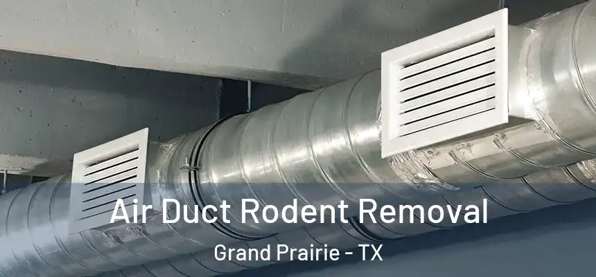  Air Duct Rodent Removal Grand Prairie - TX