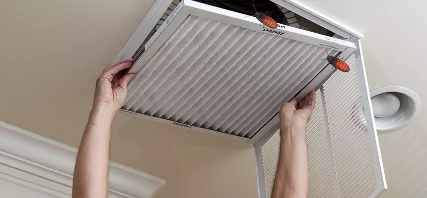 Our Insect Removal from Air Ducts Services in Grand Prairie, TX