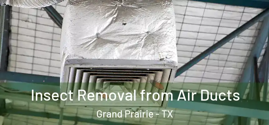 Insect Removal from Air Ducts Grand Prairie - TX