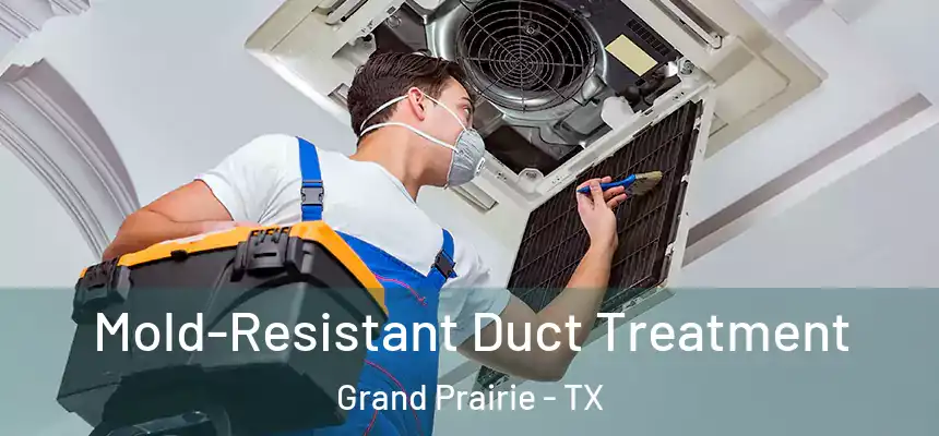  Mold-Resistant Duct Treatment Grand Prairie - TX