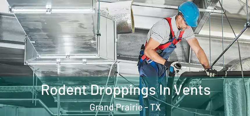  Rodent Droppings In Vents Grand Prairie - TX