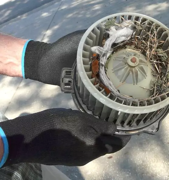 About Air Duct Rat Removal in Grand Prairie, TX