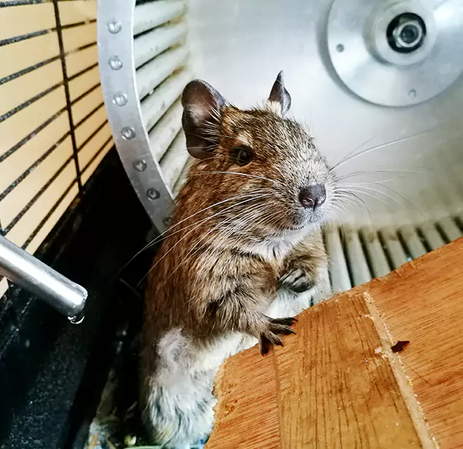 Why Homeowners & Businesses Trust Us Grand Prairie, TX