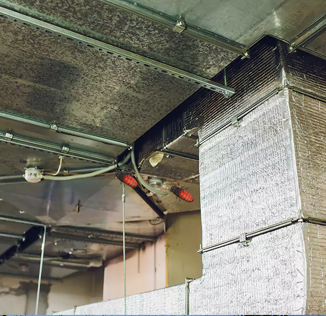 Why Homeowners & Businesses Trust Us Grand Prairie, TX?