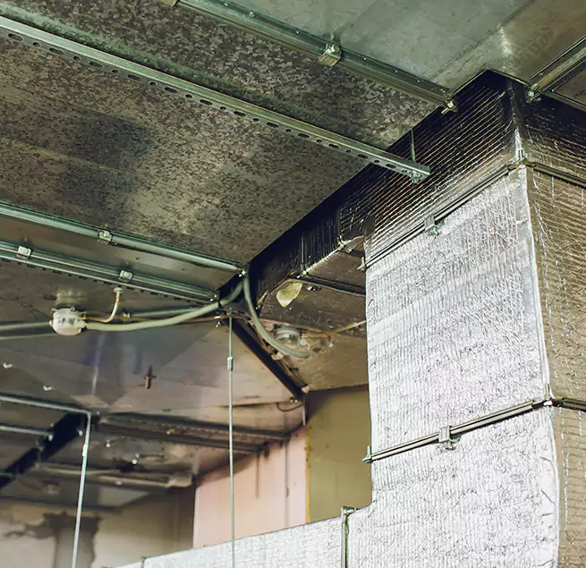 Why Homeowners & Businesses Trust Us in Grand Prairie, TX?